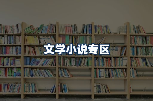 文学小说PDF展示